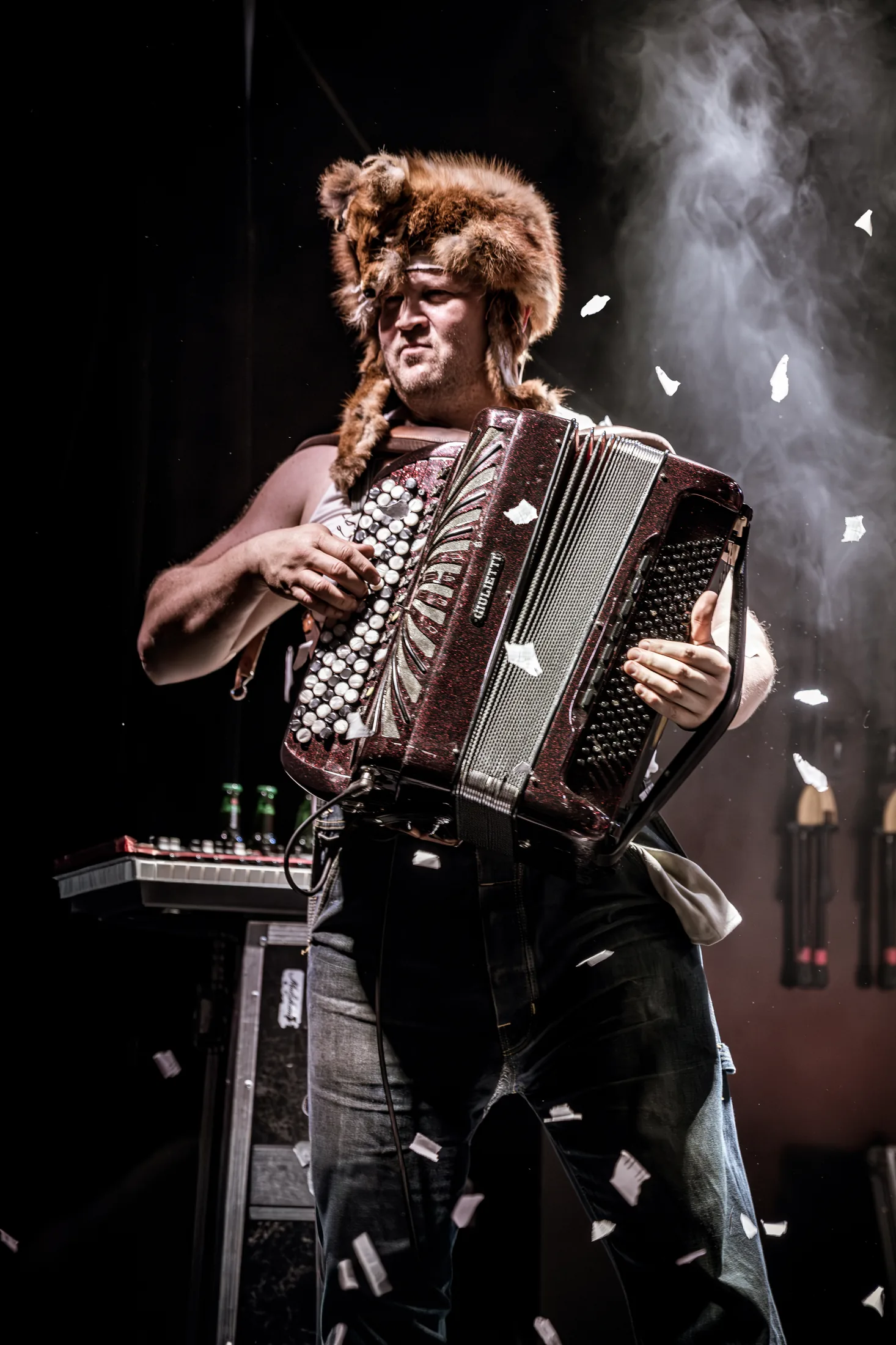 Accordéon Steve’n’Seagulls — photographie concert Toulon