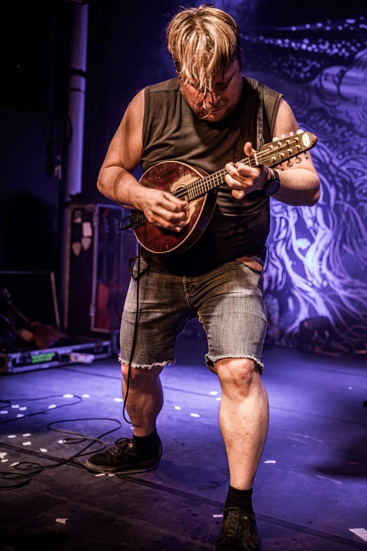 Musicien Steve’n’Seagulls au Live Toulon — photo concert bluegrass