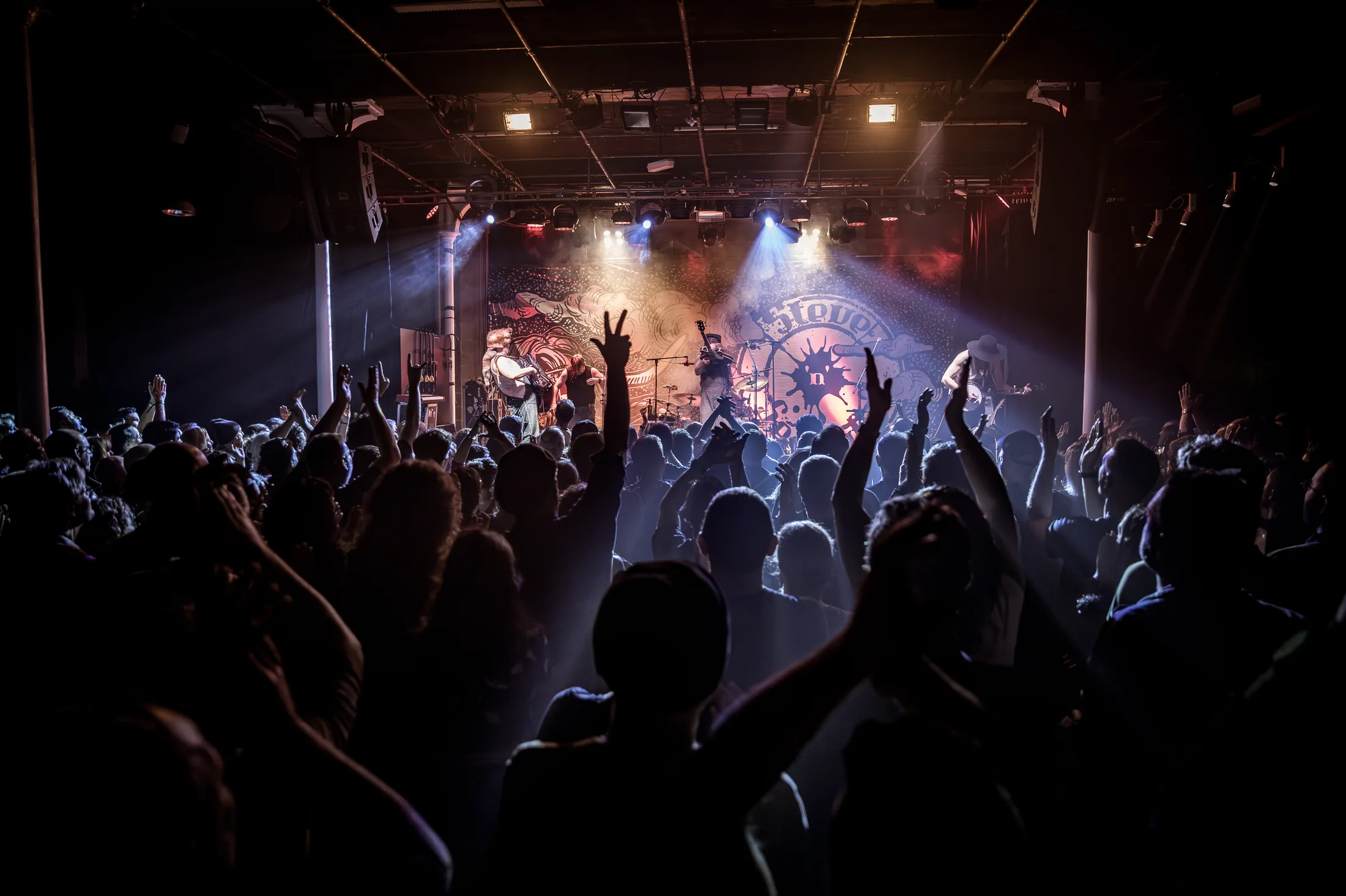 Steve’n’Seagulls au Live Toulon — photographe concert bluegrass rock Var