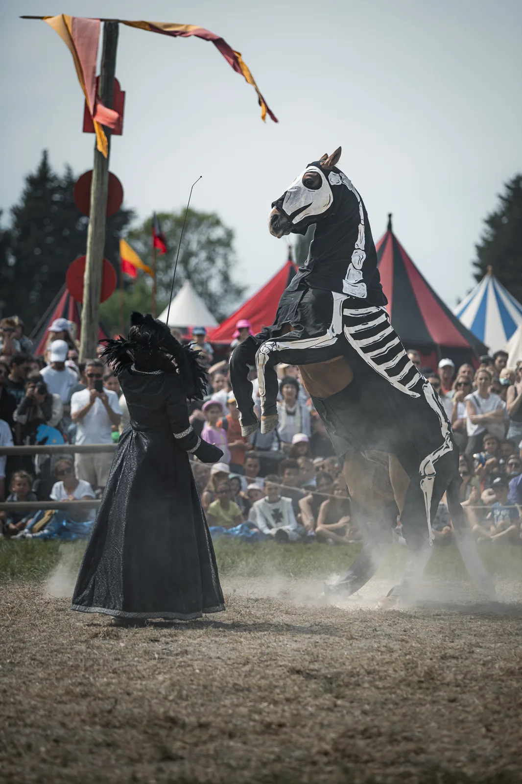 Spectacle festival historique Provence — Pictured Life