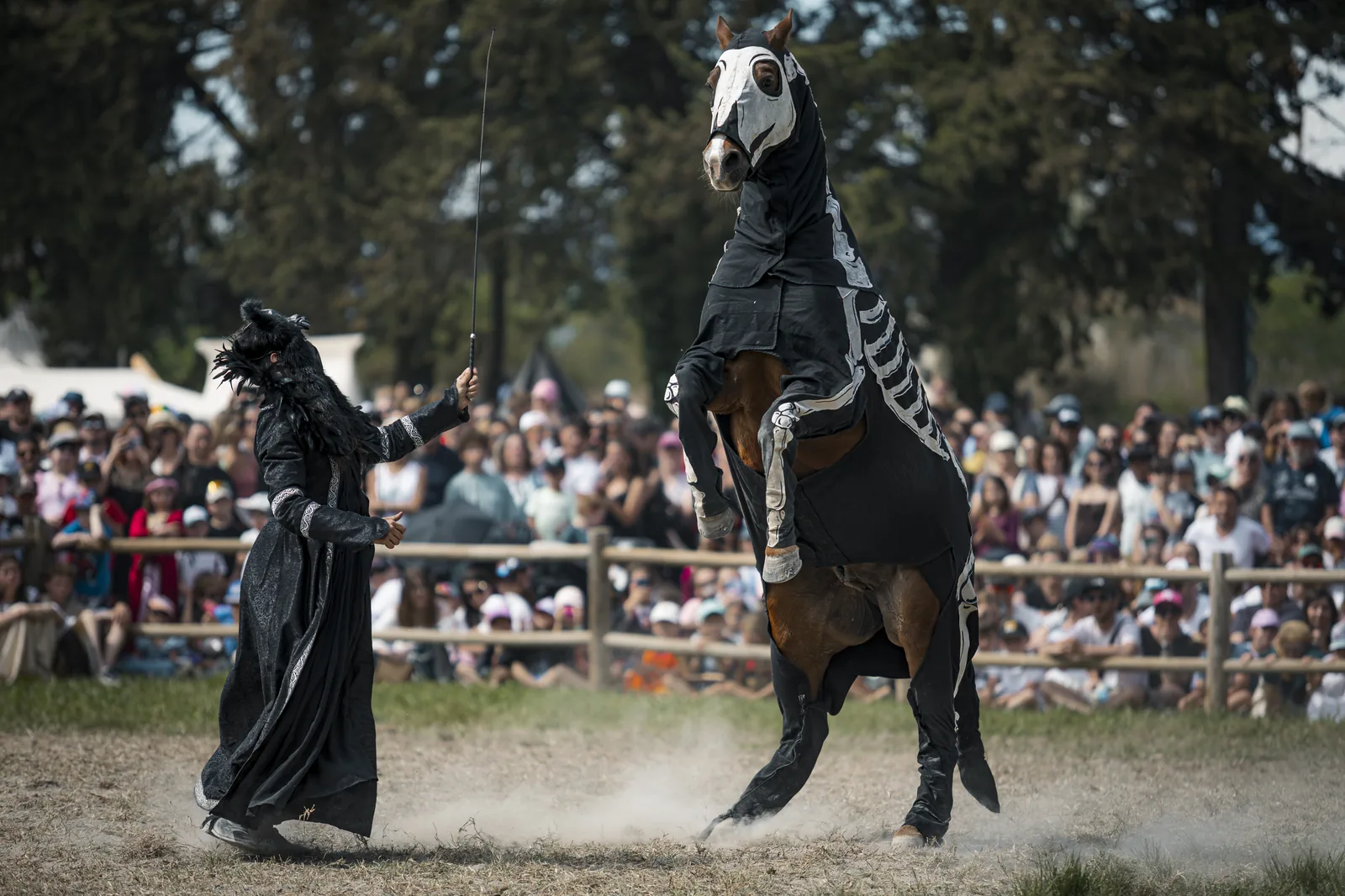 Cheval cabré spectacle équestre festival — Pictured Life