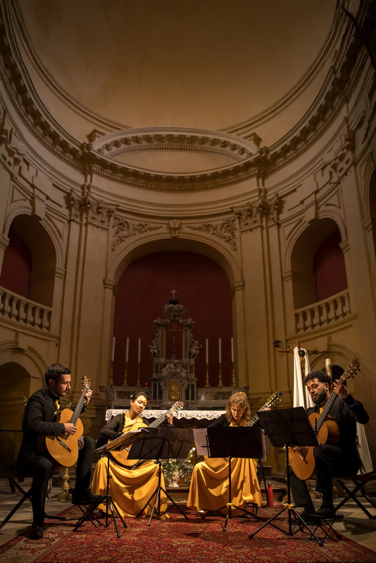 Portrait artiste scène concert — Pictured Life